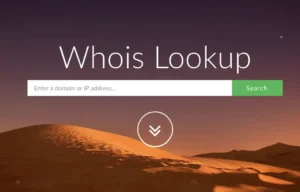 كيفية معرفة معلومات الدومين